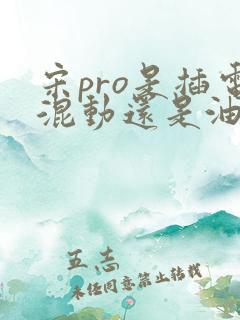 宋pro是插电混动还是油电混动