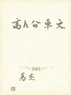 高h公车文