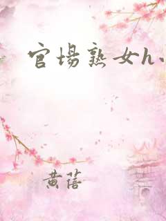 官场熟女h小说