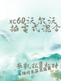 xc60沃尔沃插电式混合动力车