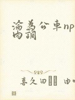 沦为公车np纯肉调