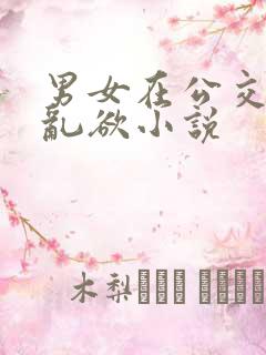 男女在公交车上乱欲小说