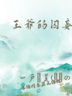 王爷的囚妾