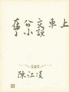 在公交车上被顶了小说