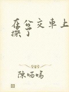在公交车上被人操了