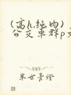 (高h,纯肉)公交车群p文