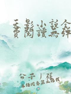 天影小说全文免费阅读无弹窗