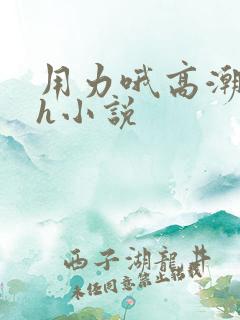 用力哦高潮喷了h小说