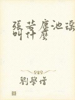 张若尘池瑶小说叫什么