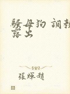 骚母狗 调教 露出