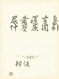 尿黄还有臭味是什么原因引起的