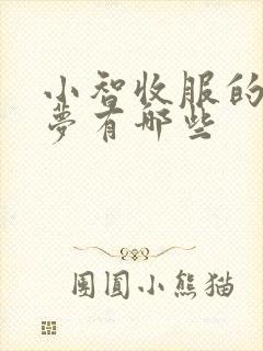 小智收服的宝可梦有哪些