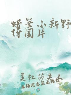 蜡笔小新野原美伢图片