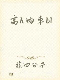 高h肉车bl