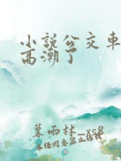 小说公交车被上高潮了