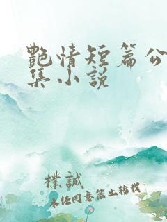 艳情短篇公车合集小说