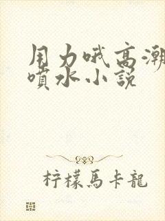 用力哦高潮我要喷水小说