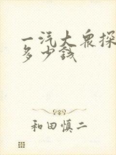 一汽大众探岳x多少钱