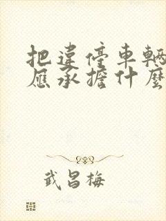 把违停车辆撞了应承担什么责任