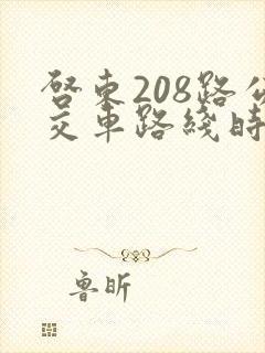 启东208路公交车路线时间表