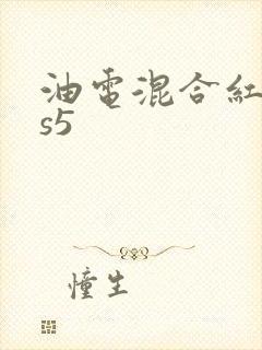 油电混合红旗hs5