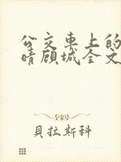 公交车上的诗请晴顾城全文阅读