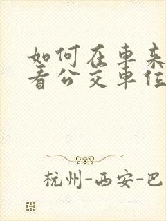 如何在车来了查看公交车位置