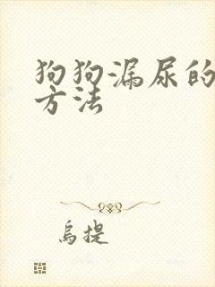 狗狗漏尿的解决方法