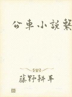 公车小说系列
