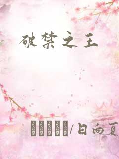 破禁之王