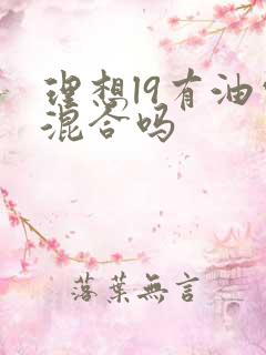 理想l9有油电混合吗