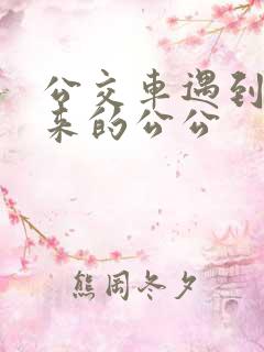 公交车遇到农村来的公公
