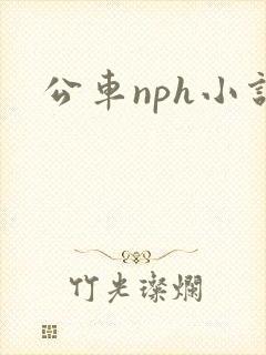 公车nph小说