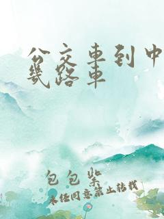 公交车到中医院几路车