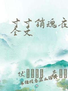 寸寸销魂夜春光全文