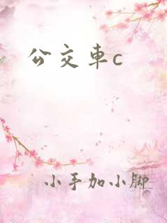 公交车c