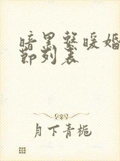 暗黑系暖婚新章节列表