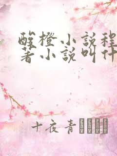 酸橙小说程恬原著小说叫什么
