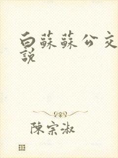 白苏苏公交车小说