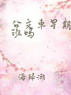 公交车星期天上班吗