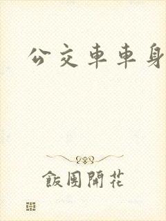 公交车车身多高