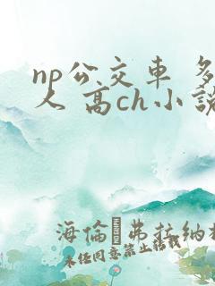 np公交车 多人 高ch小说