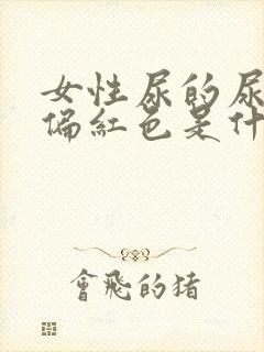 女性尿的尿有点偏红色是什么原因