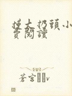摸大扔头小说免费阅读
