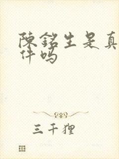陈铭生是真实事件吗