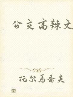 公交高辣文