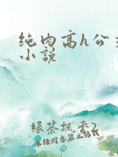 纯肉高h公交车小说