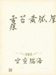 舌苔黄腻厚有齿痕