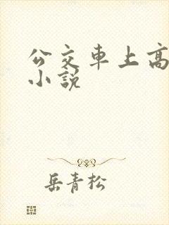 公交车上高潮了小说