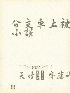 公交车上被摸了小说